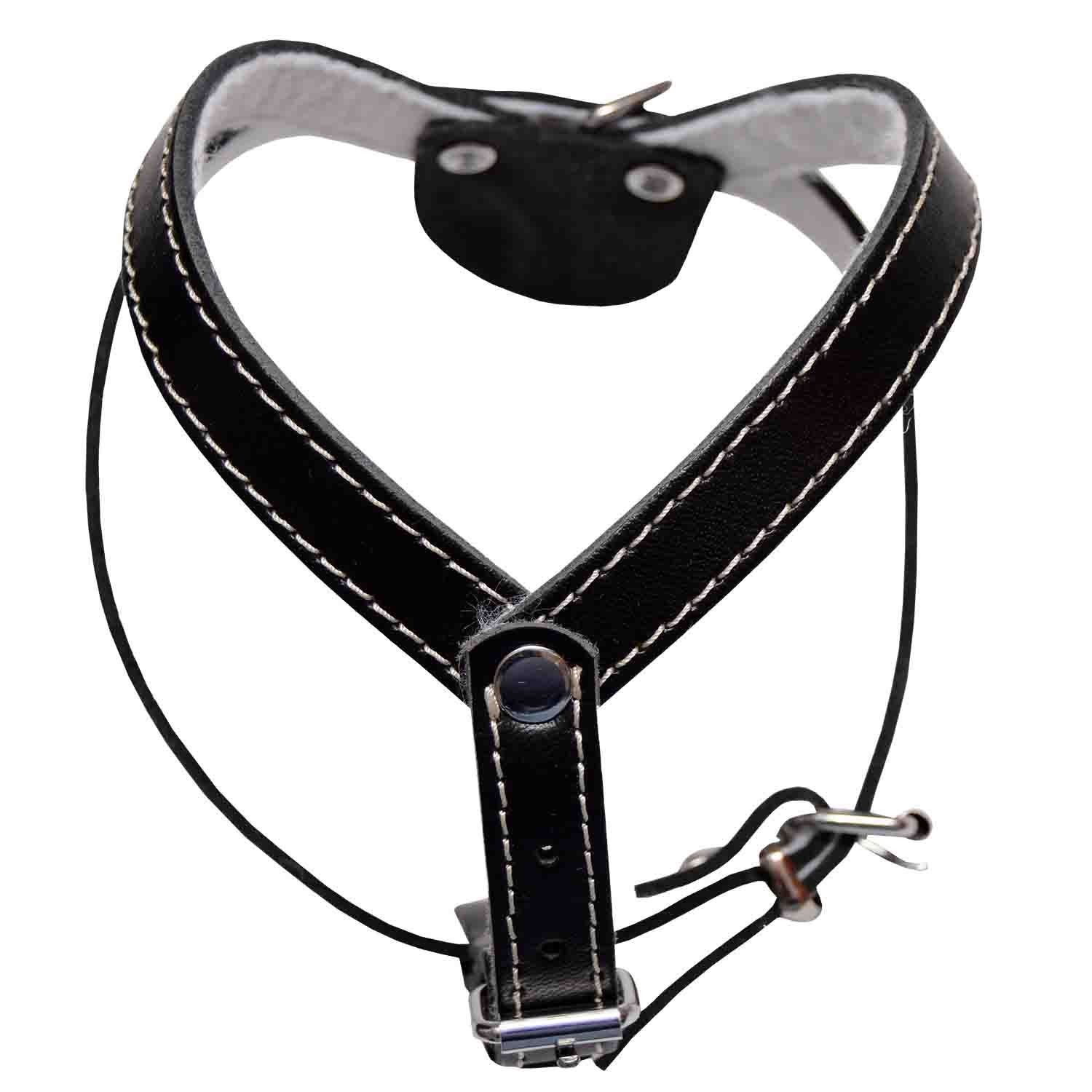 Ham caini nr2 Simplu Negru , DELISTAT