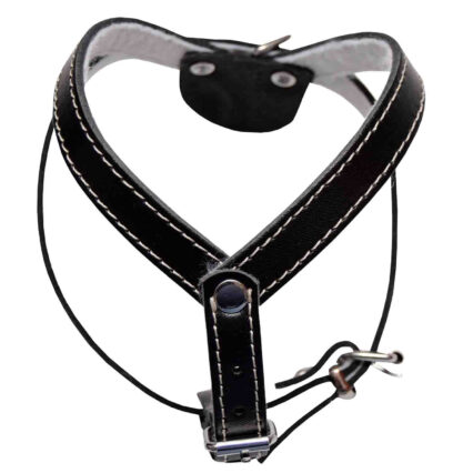 Ham caini nr3 Simplu Negru ,   DELISTAT