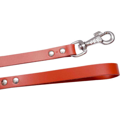 4DOG Lesa pentru Caine din Piele, Rosie, Nr. 2, 12 1100 mm ,   DELISTAT