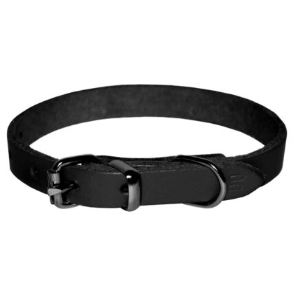 Zgarda pentru Caine, 4DOG, Piele, Neagra, Nr. 00, 10 290 mm