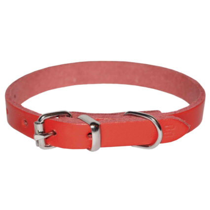 Zgarda pentru Caine, 4DOG, Piele, Rosie, Nr. 1, 16 400 mm