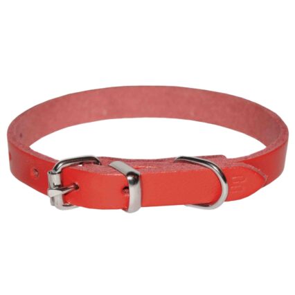 Zgarda pentru Caine, 4DOG, Piele, Rosie, Nr. 3, 25 530 mm