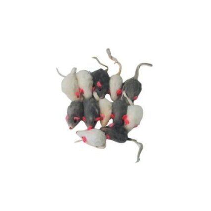 Jucarie Soricel Plus