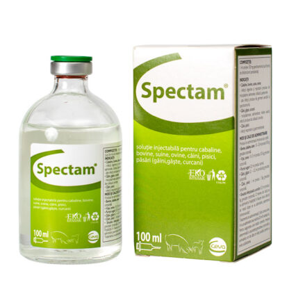 Spectam 100 ml inj.
