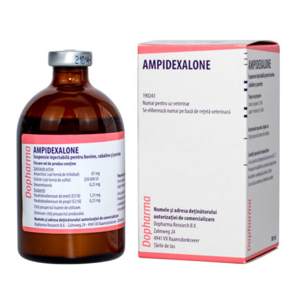 Ampidexalone 100 ml