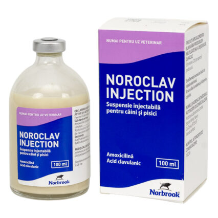 Noroclav 100 ml inj