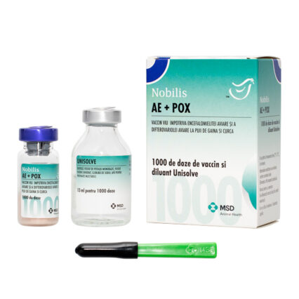 Nobilis AE POX 1000dz