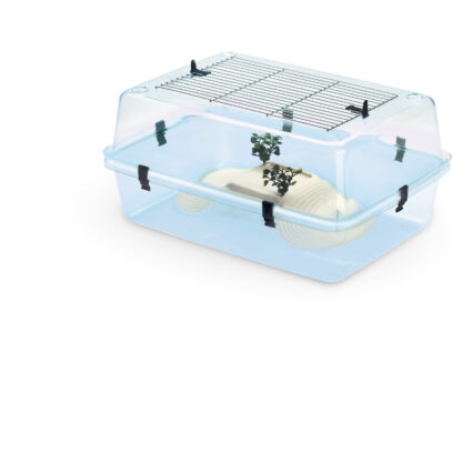 Terariu Lira 42 pentru testoase