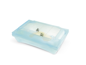 Terariu Kleo pentru testoase