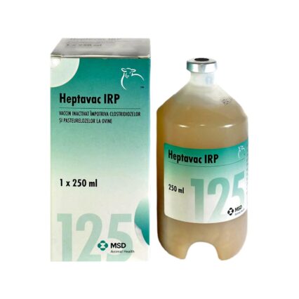 HEPTAVAC IRP 250ML*125 DOZE