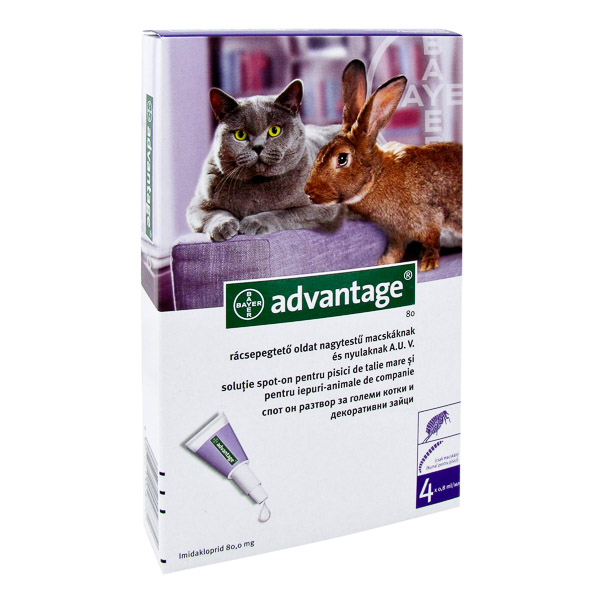 Advantage 80 cat/rabbit x 4 pipete