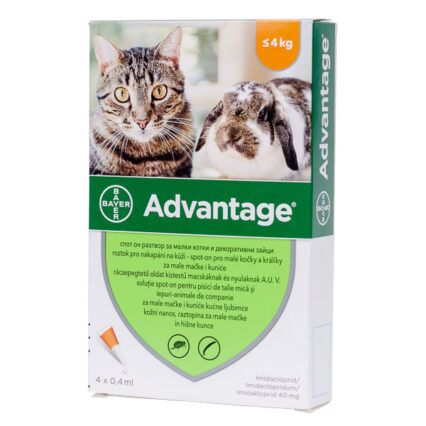 Advantage 40 cat/rabbit x 4 pipete