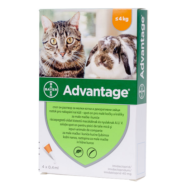 Advantage 40 cat/rabbit x 4 pipete