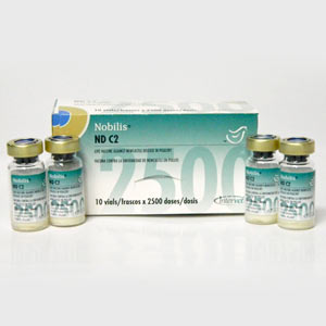 Nobilis ND C2 2500 dz