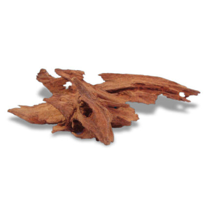 Decor Acvariu Lemn Jati 25-35 cm