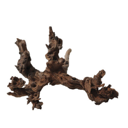 Decor Acvariu Lemn 15-20 cm