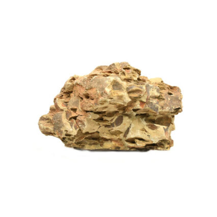 Decor Acvariu Roca Bamboo 2-3 kg