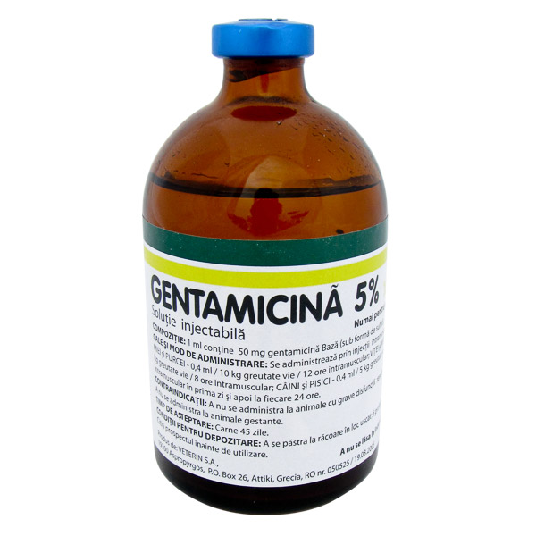 Gentamicin 50 ml inj