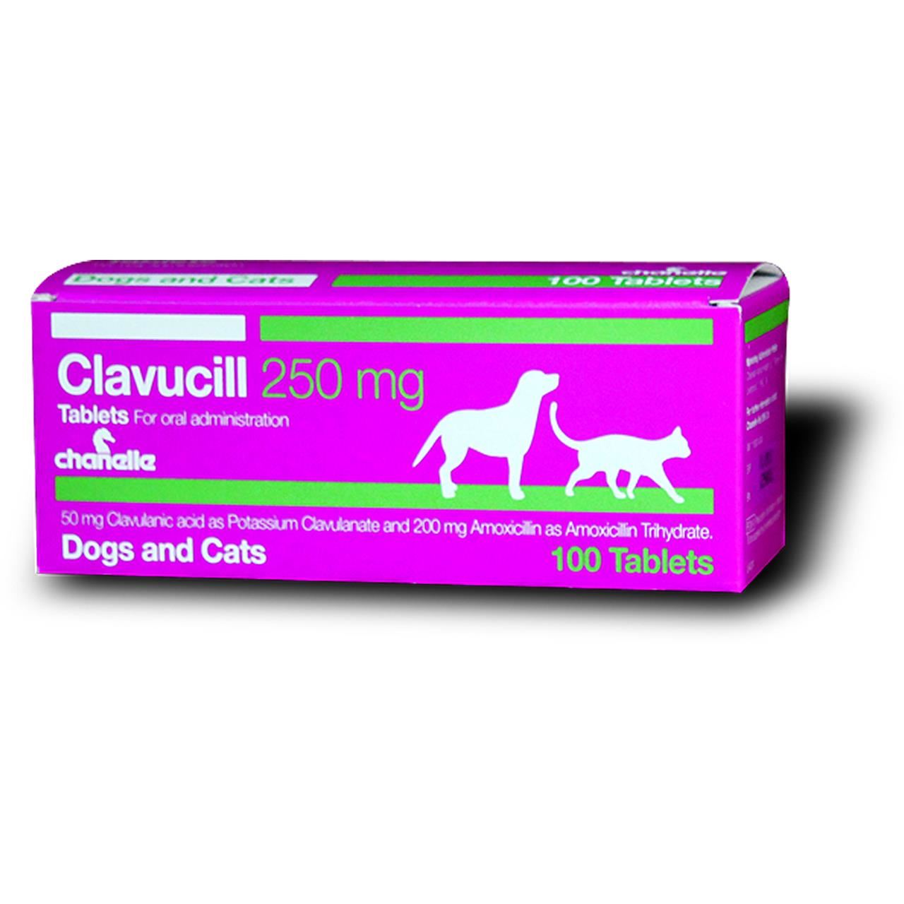 CLAVUCILL 250MG (BLS*10TB)