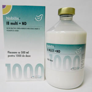 Nobilis IB Multi plus ND x 1000 dz