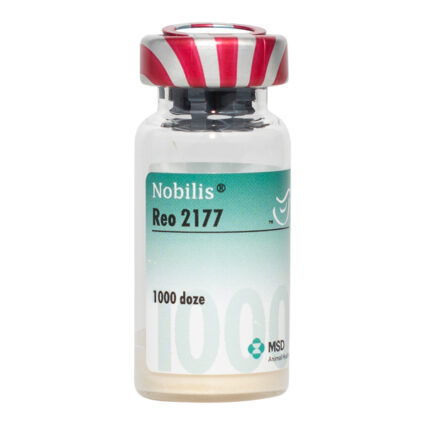 Nobilis Reo 2177 1000dz