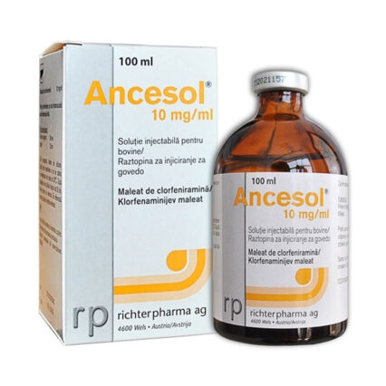 ANCESOL 10 MG/ML*100 ML