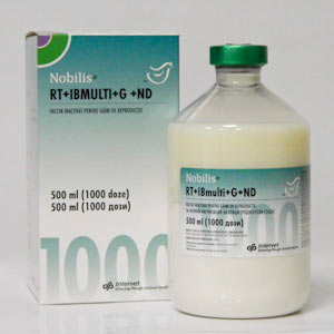 Nobilis RT  IBmulti  G ND