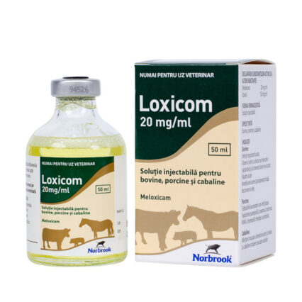 Loxicom 20 mg Large Animals 50 ml