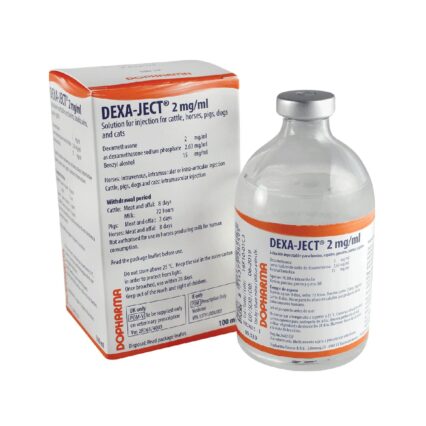 DEXA-JECT ANTIINFECTIOS INJECTABIL 100ML