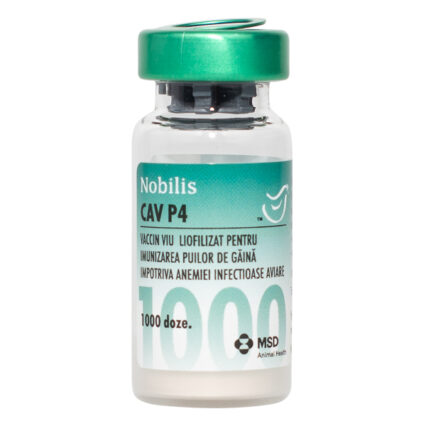 Nobilis CAV P4 1000 dz