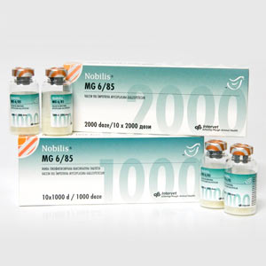 Nobilis MG6/85 1000 dz