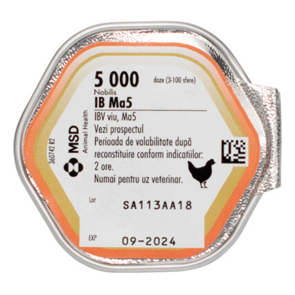 Nobilis IB MA5 x 5000 dz