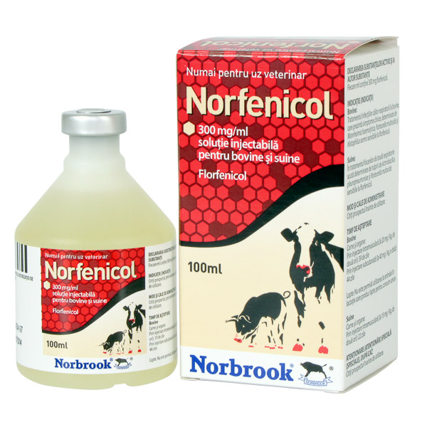 Norfenicol inj 100 ml