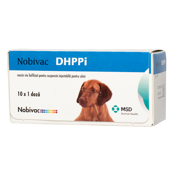 Nobivac DHPPI 1dz