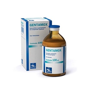 Gentamox 100 ml