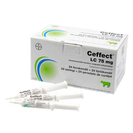 Ceffect LC 75 mg seringa 10 ml