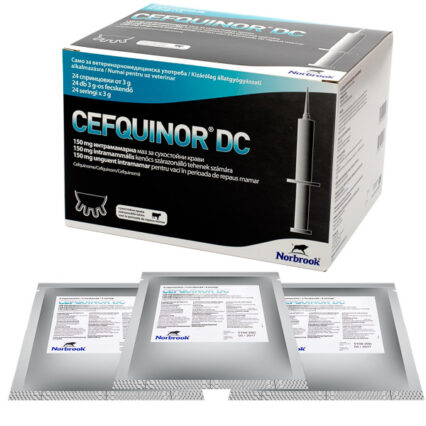 Cefquinor DC x 4 seringi x 3 g