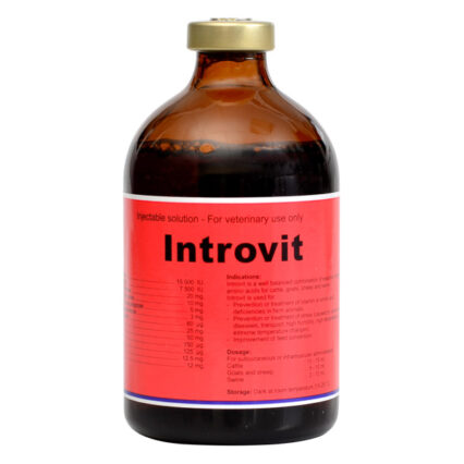 Introvit inj. 100 ml
