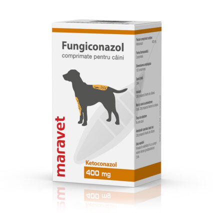 Fungiconazol 400 mg 10x10 tab