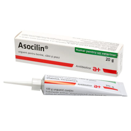 Asocilin 20 g