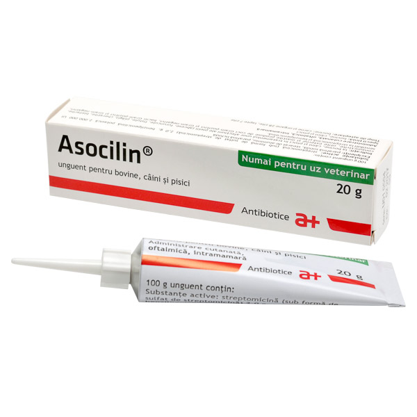 Asocilin 20 g