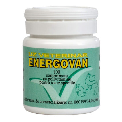 Energovan x 100 cp