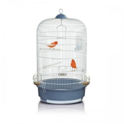 Colivie Luna Alb Coral