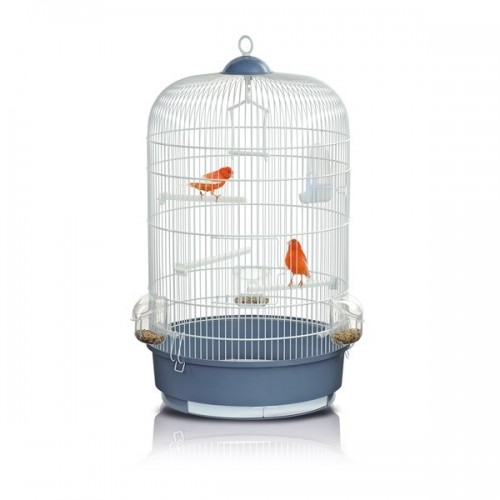 Colivie Luna Alb Coral