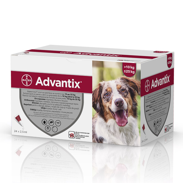 Advantix 250 (10-25 kg) x 24 pipete