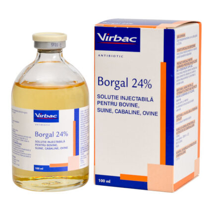 Borgal 100 ml
