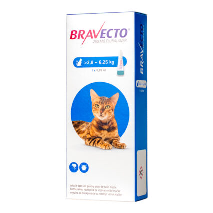 Bravecto Spot-on Cat 250 mg (2,8-6,25 kg)
