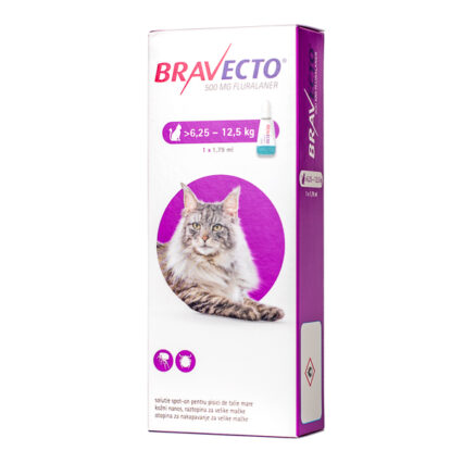 Bravecto Spot-on Cat 500 mg (6,25-12,5 kg)