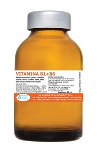 Vitamina B1 plus B6 x 20 ml