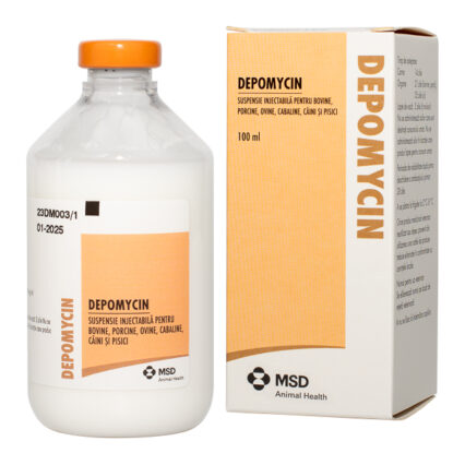 Depomycin 100 ml